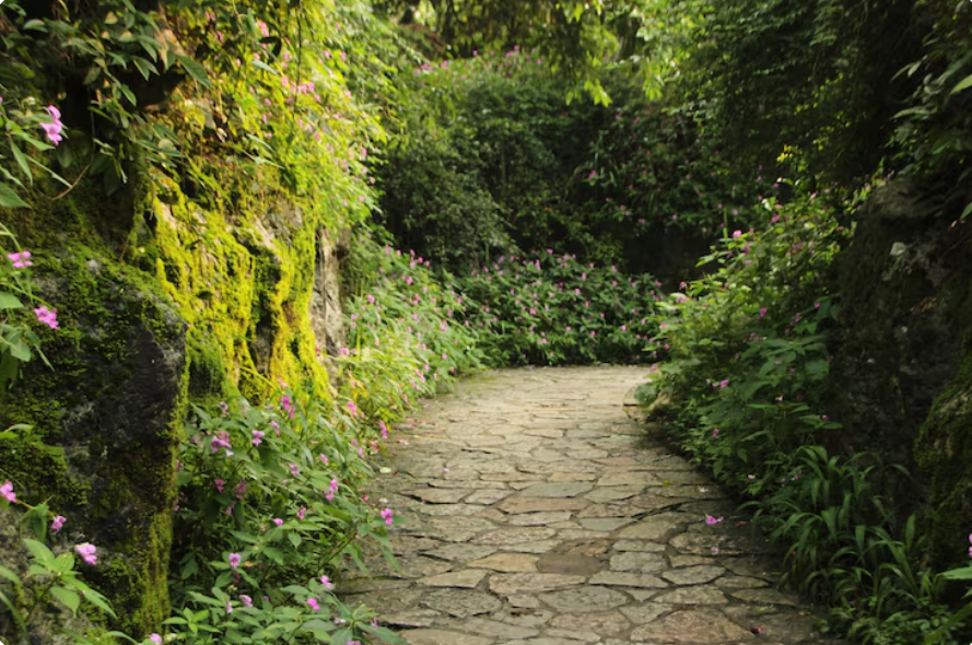 Simple Ways to Plan a Beautiful Shade Garden